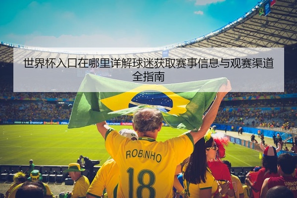 世界杯入口在哪里详解球迷获取赛事信息与观赛渠道全指南
