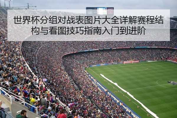 世界杯分组对战表图片大全详解赛程结构与看图技巧指南入门到进阶