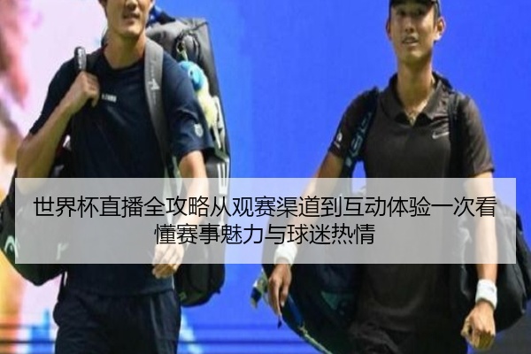 世界杯直播全攻略从观赛渠道到互动体验一次看懂赛事魅力与球迷热情